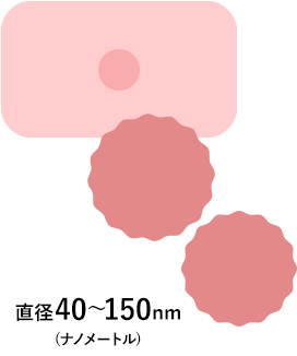 エクソソーム：直径40～150nm