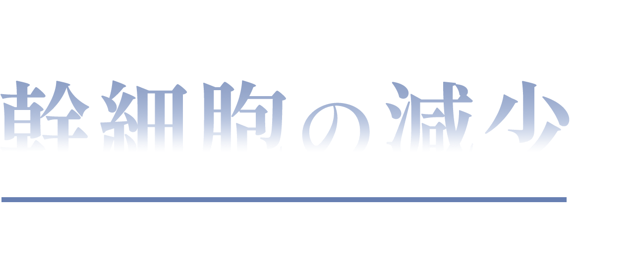これらの原因には幹細胞の減少が関係しています